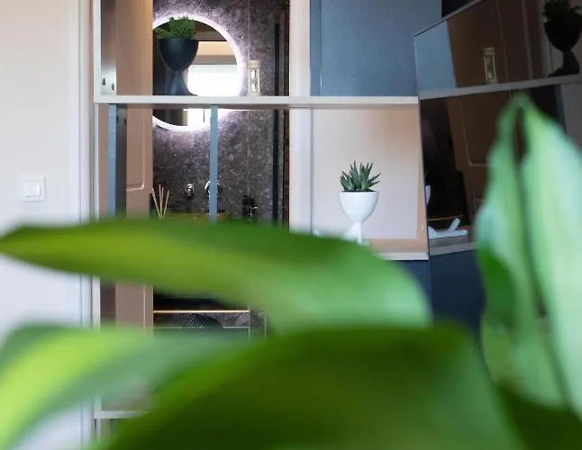 Live The Local Life , Old Town * بلدة كوس