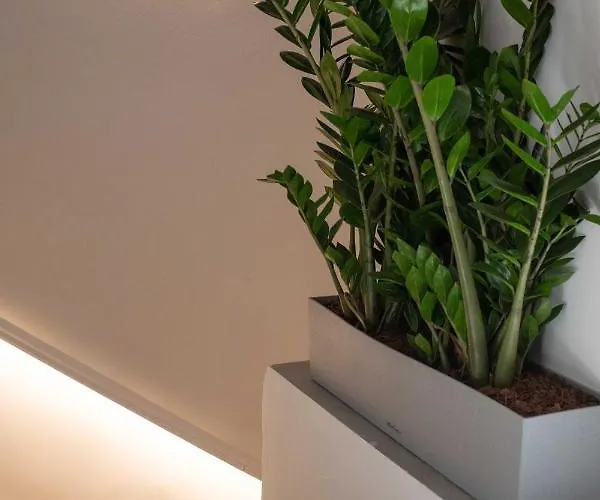 Live The Local Life , Old Town 아파트 *