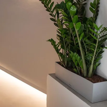 Live The Local Life , Old Town Apartment *